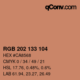 カラーコード: RGB 202 133 104 | qconv.com