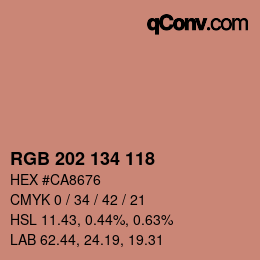 カラーコード: RGB 202 134 118 | qconv.com