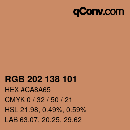 カラーコード: RGB 202 138 101 | qconv.com