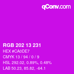 颜色代码: RGB 202 13 231 | qconv.com