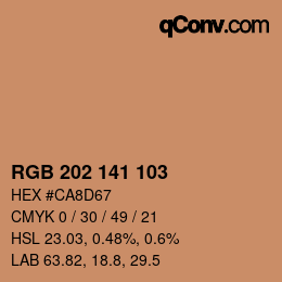 Color code: RGB 202 141 103 | qconv.com