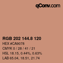 カラーコード: RGB 202 144.8 120 | qconv.com