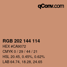 Color code: RGB 202 144 114 | qconv.com