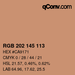 Color code: RGB 202 145 113 | qconv.com