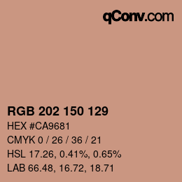 Color code: RGB 202 150 129 | qconv.com