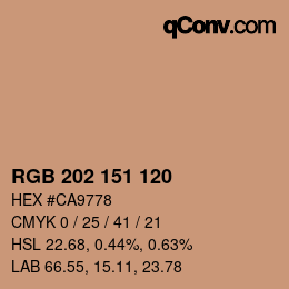 颜色代码: RGB 202 151 120 | qconv.com