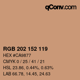颜色代码: RGB 202 152 119 | qconv.com
