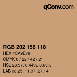 カラーコード: RGB 202 158 118 | qconv.com