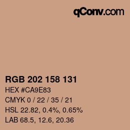 颜色代码: RGB 202 158 131 | qconv.com