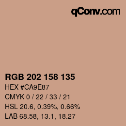 颜色代码: RGB 202 158 135 | qconv.com