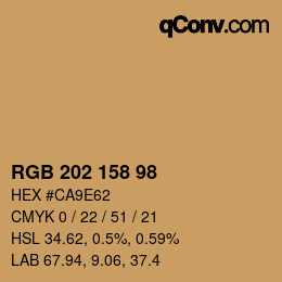 Color code: RGB 202 158 98 | qconv.com