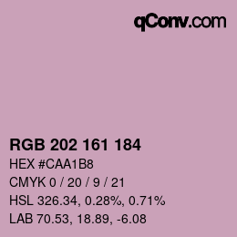 カラーコード: RGB 202 161 184 | qconv.com