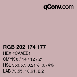 Color code: RGB 202 174 177 | qconv.com