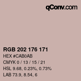 Farbcode: RGB 202 176 171 | qconv.com