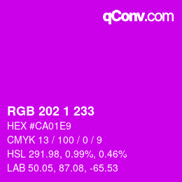 カラーコード: RGB 202 1 233 | qconv.com
