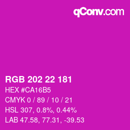 Color code: RGB 202 22 181 | qconv.com