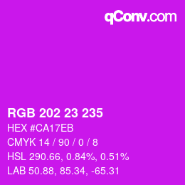 カラーコード: RGB 202 23 235 | qconv.com