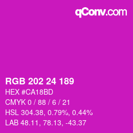 颜色代码: RGB 202 24 189 | qconv.com