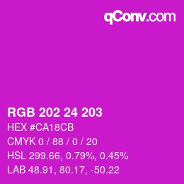 颜色代码: RGB 202 24 203 | qconv.com