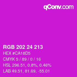 カラーコード: RGB 202 24 213 | qconv.com