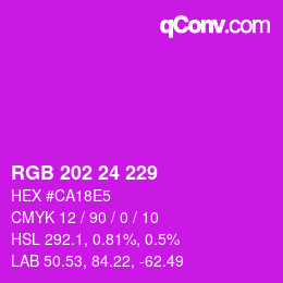 カラーコード: RGB 202 24 229 | qconv.com