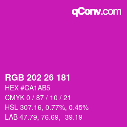 颜色代码: RGB 202 26 181 | qconv.com