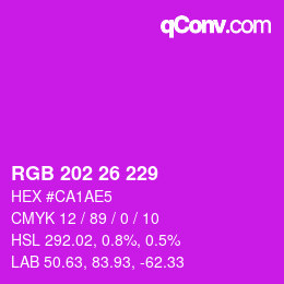 カラーコード: RGB 202 26 229 | qconv.com