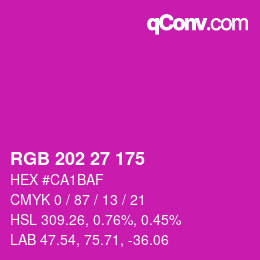 カラーコード: RGB 202 27 175 | qconv.com
