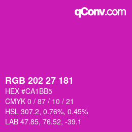 カラーコード: RGB 202 27 181 | qconv.com