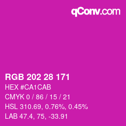 颜色代码: RGB 202 28 171 | qconv.com