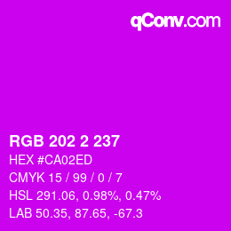 Color code: RGB 202 2 237 | qconv.com