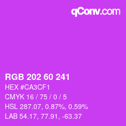 カラーコード: RGB 202 60 241 | qconv.com