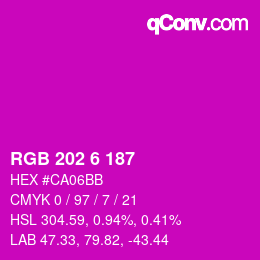Color code: RGB 202 6 187 | qconv.com