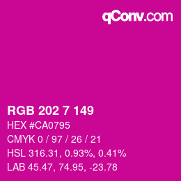Color code: RGB 202 7 149 | qconv.com