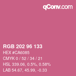 Código de color: RGB 202 96 133 | qconv.com