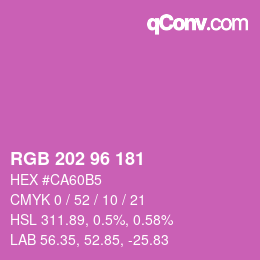 カラーコード: RGB 202 96 181 | qconv.com