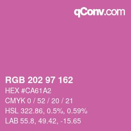 Color code: RGB 202 97 162 | qconv.com