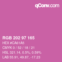 Color code: RGB 202 97 165 | qconv.com