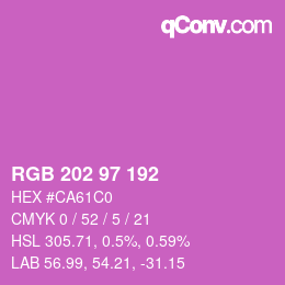 Color code: RGB 202 97 192 | qconv.com