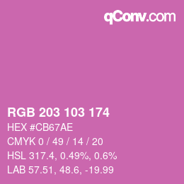 Color code: RGB 203 103 174 | qconv.com