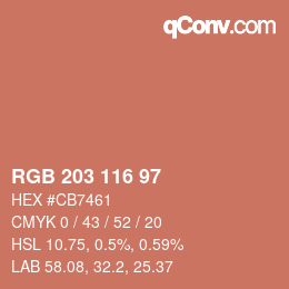 Color code: RGB 203 116 97 | qconv.com