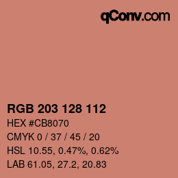 Color code: RGB 203 128 112 | qconv.com