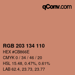 Color code: RGB 203 134 110 | qconv.com