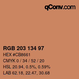 Color code: RGB 203 134 97 | qconv.com