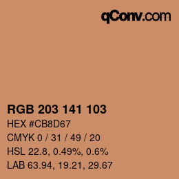 Color code: RGB 203 141 103 | qconv.com