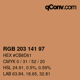 Color code: RGB 203 141 97 | qconv.com