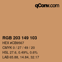 Color code: RGB 203 149 103 | qconv.com