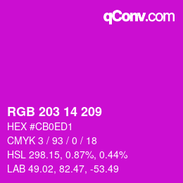 Color code: RGB 203 14 209 | qconv.com