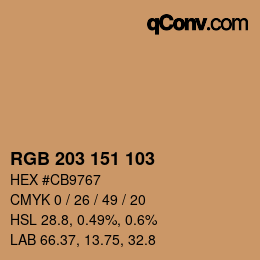 Color code: RGB 203 151 103 | qconv.com