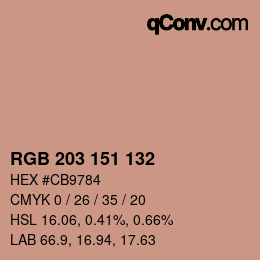 Color code: RGB 203 151 132 | qconv.com